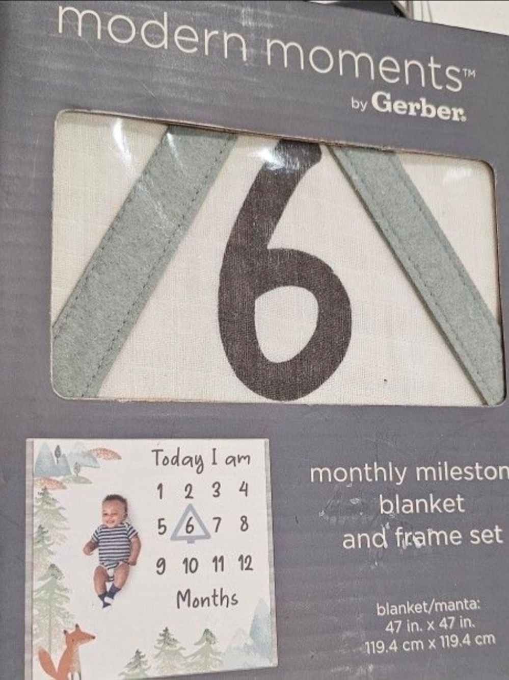 Monthly Milestone Baby Pictures